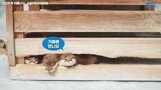 서울시설공단 별별소리 VOL:30썸네일