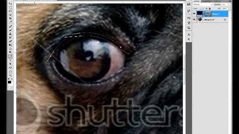 Vector/Vexel Eye Tutorial