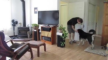 VoxCommando - Scenario: Coming Home from Work