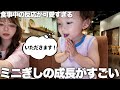 ミニぎし、いつの間にかこんなに成長してました。