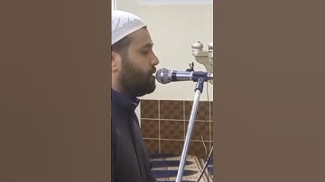 تلاوة مؤثره وخاشعه || القلم || محسن خفاجي