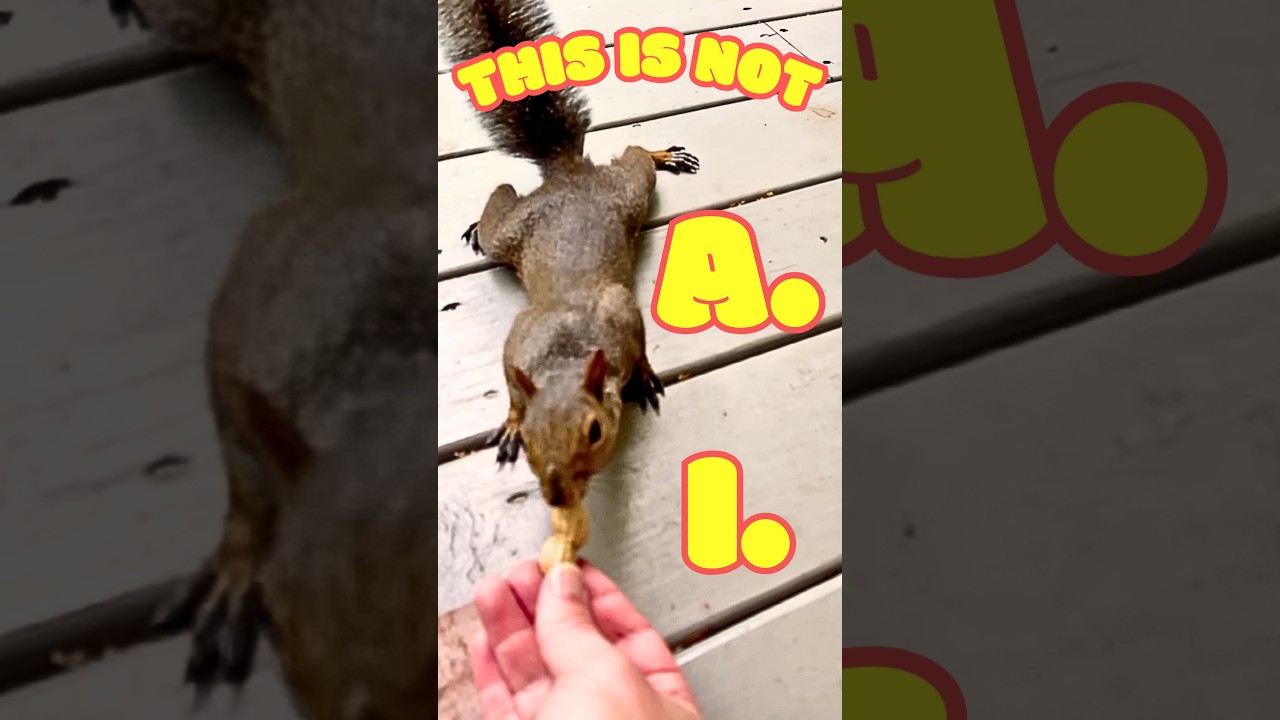 NOT AI Generated Encounters. Here’s a single shot with no cuts. #fun #cute