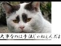 FXのトレード手法なんかどうでもいい。勝ち続ける人と負け続ける人の決定的な違い