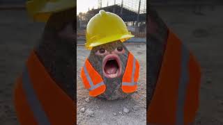 La piedra día 120 #like #suscribete #comedy #funny #video #viral #work