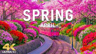 Spring in April 4K – The Blooming Horizon 2026 🌸 Vibrant Gardens, Flowering Valleys &amp; Nature’s Color