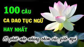 100 Câu Ca dao tục ngữ mang đậm Triết lý nhân sinh - Nghe 10 phút nhẹ nhàng chìm vào giấc ngủ