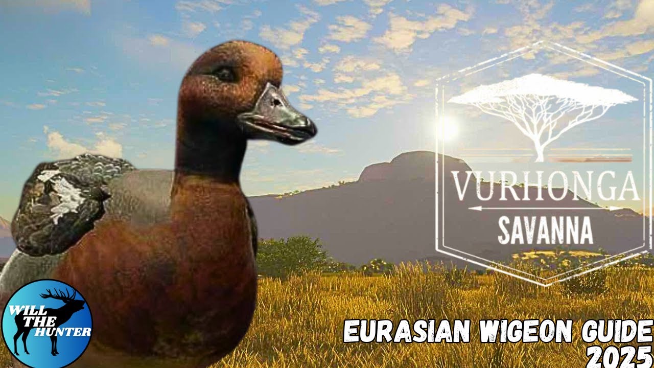 Vurhonga Savanna Eurasian Wigeon Guide | TheHunter Call Of The Wild 24/25