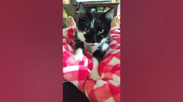 making biscuits