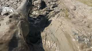 Playing Naked In The Deep Mud-004