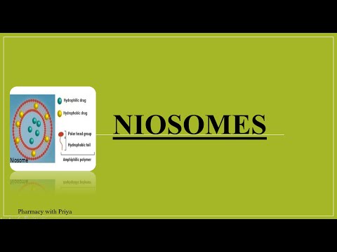 Video: Welk type medicijn zit vast in niosomen?