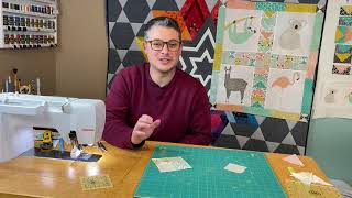 Day at the Zoo   Quarter Square Triangle Block, 4 Patch