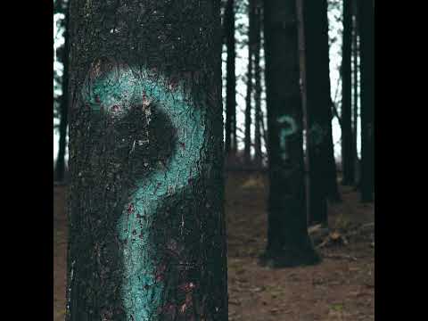 Psychic Lemon - The Unheimlich Kingdom (Full Album 2024)