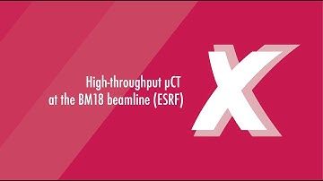 High-throughput µCT at BM18 at the ESRF
