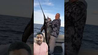 Swordfish is no JOKE! #shorts Swordfish is no JOKE! #shorts