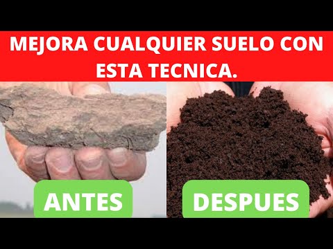 Video: Tratar con suelo rocoso: cómo deshacerse de las rocas en el suelo