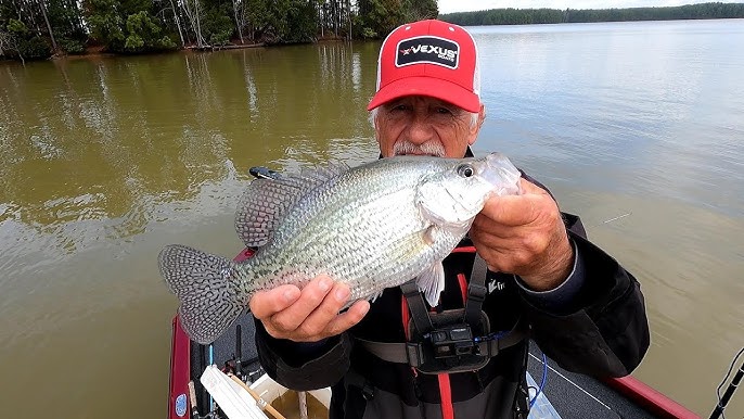 Summertime Super Slab Crappies On Jigs, Lake Murray 