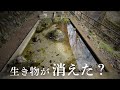 生き物が消えたビオトープを再生させる