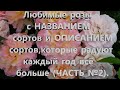 Любимые розы с НАЗВАНИЕМ сортов и ОПИСАНИЕМ сортов,которые радуют  каждый год все больше (ЧАСТЬ №2).