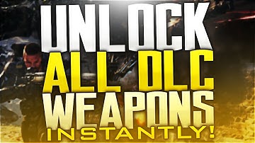 OMFG!! UNLOCK ALL DLC WEAPONS INSTANTLY! - (Free HG-40, Daggger, & New Sniper!)