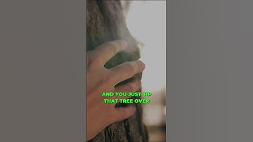 ✂️ Trimming Tales: Taming The Vigorous Fig Tree 🌳 #shorts