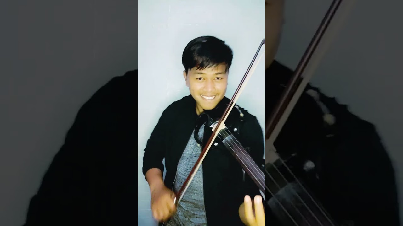 blue bird ikimono gakari / Violin cover #bluebird #narutosoundtrack