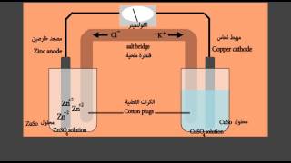 وظيفة القنطرة الملحية في الخلية الجلفانية