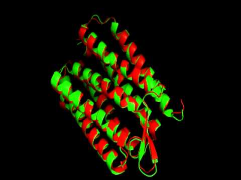 PyMol Movie - Structural Biology, Doctoral Training Centre, Oxford University (2011)