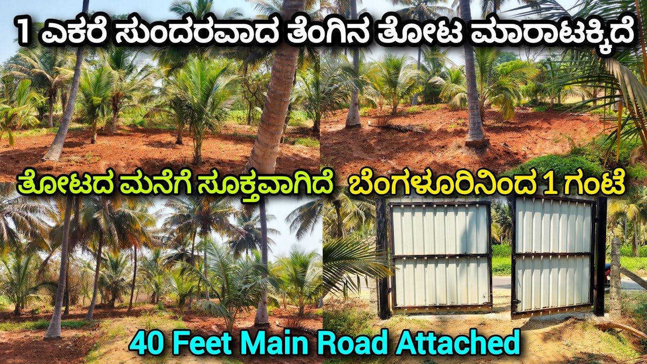 1 ACRE COCONUT FARM LAND SALE NEAR BENGALURU, CHANNAPATNA RAMANAGARA