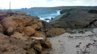 DSCF6972.MOV