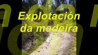 Os castros de Neixón e San Vicenzo de Cespón na Idade Media.wmv