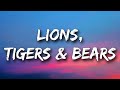 Jazmine Sullivan - Lions, Tigers &amp; Bears (Lyrics) &quot;I&#39;m not scared of lions and tigers and bears&quot;