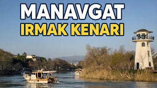 MANAVGAT IRMAK KENARI 