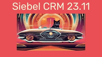 Siebel CRM 23.11 Update Summary - Electric Dreams