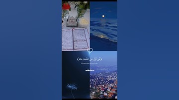 سورة العنكبوت تلاوة هادئة و خاشعة عبد الرحمن مسعد