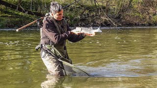 Trotten am Fluss im Herbst // Riverfishing