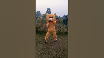 New yellow romeo cute teddy dance with Unique reaction in public #amaction #crazy_teddy