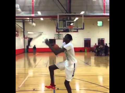 bol bol dunk