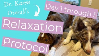 Try this Dog Relaxation Protocol by Karen Overall (Day One through Day Five!) //THE KIND CANINE screenshot 3