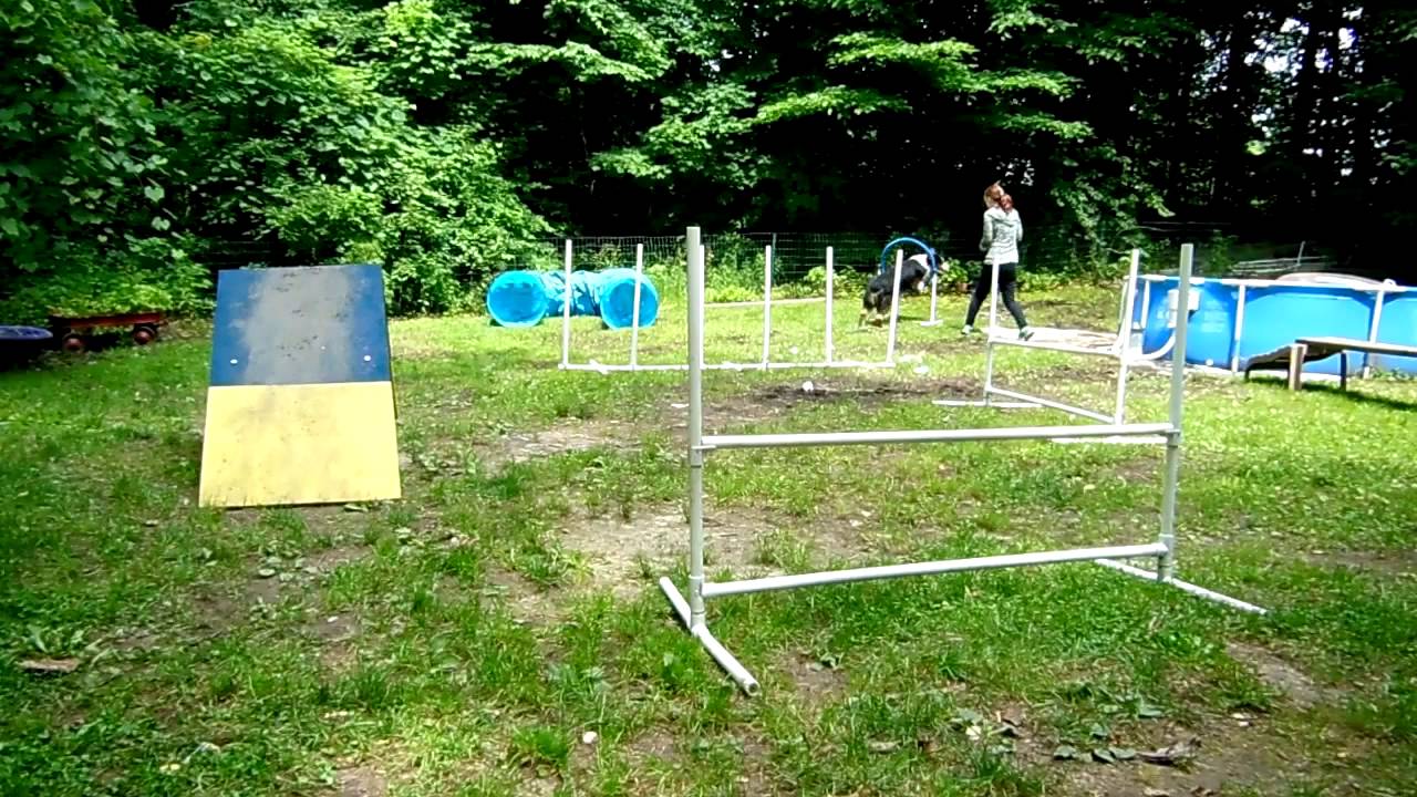 Backyard Agility July 2014 - YouTube