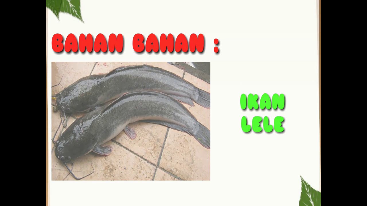 video pembelajaran prakarya/PKWU kelas XI, "Budidaya Ikan Konsumsi