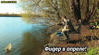 Открытие сезона ловли на фидер 2024 Рыбалка в апреле на реке Быстрая Сосна.