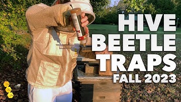Hive Pest Control 101: Small Hive Beetle Traps