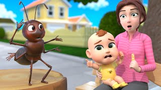 Boo Boo Bugs Song | Insects Version | Newborn Baby Songs & Nursery Rhymes