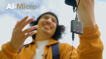 Introducing the AI-Micro