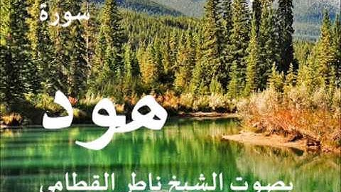 سورة هود بصوت الشيخ / ناصر القطامي 11