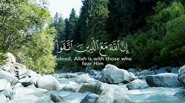 ان الذين اتقوا ربهم والذين هم محسنون/قران كريم راحه نفسيه بصوت الشيخ ماهر المعيقلي