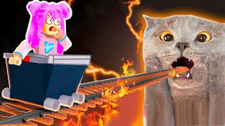 КОРЗИНКА ЕДЕТ К КОШКЕ В РОТ ! РОБЛОКС | ЕДУ НА ВАГОНЕТКЕ К КОТИКУ ROBLOX