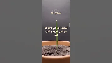 فالق الحب و النوى مراحل تطور النخيل من بذرة التمر راحة نفسية تلاوة خاشعة قران كريم رمضان يجمعنا 
