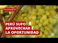 Perú primer exportador mundial de uvas, supo aprovechar la oportunidad