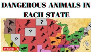 MOST DANGEROUS ANIMALS IN EACH STATE.